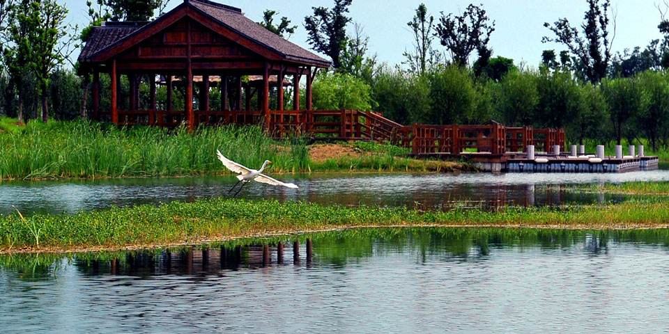 taihu_wetland_park.jpg