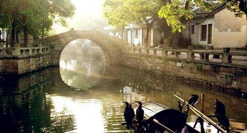 suzhou_tongli_water_town