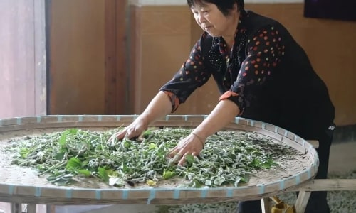 silkworm-rearing silkworm-rearing