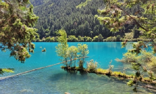 Rhinoceros-Lake Rhinoceros-Lake