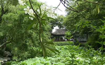 Humble-Administrator’s-Garden20 Humble-Administrator’s-Garden20