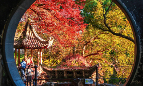 Autumn-suzhou Autumn-suzhou