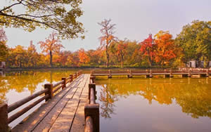 Private Suzhou Tour: One Day Suzhou Red Maple Tour in Autumn