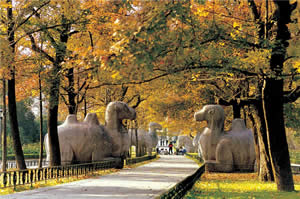 2-Day Nanjing Tour: Explore the Cultural & Historical City of Nanjing In Your Way