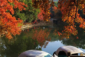 Private One Day Suzhou Leisure Tour with Hot Spring