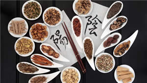 Private Suzhou Traditional Chinese Medicine Course Day Tour