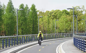 Suzhou Bike Tour around Yangcheng Lake Peninsula in Spring (Cycling in sea of flowers)