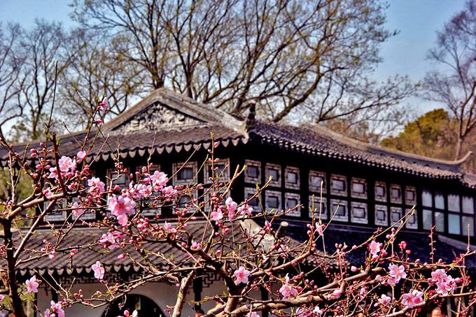 Flexible Suzhou City Day Tour From Shanghai by Bullet Train