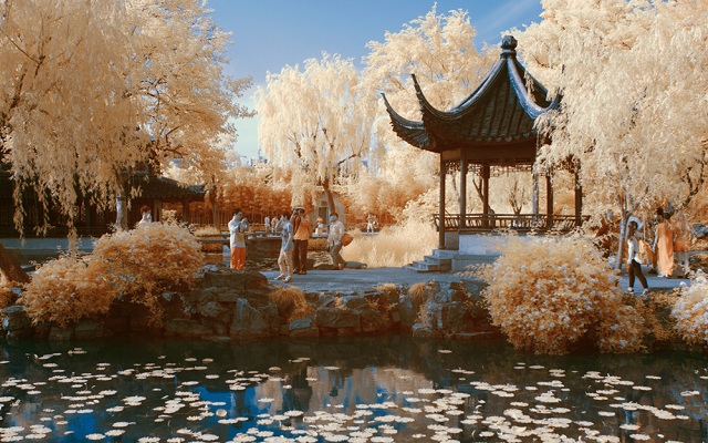 One_Day_Tour_In_Suzhou_Suzhou_Highlights_Humble_Administrator's_Garden