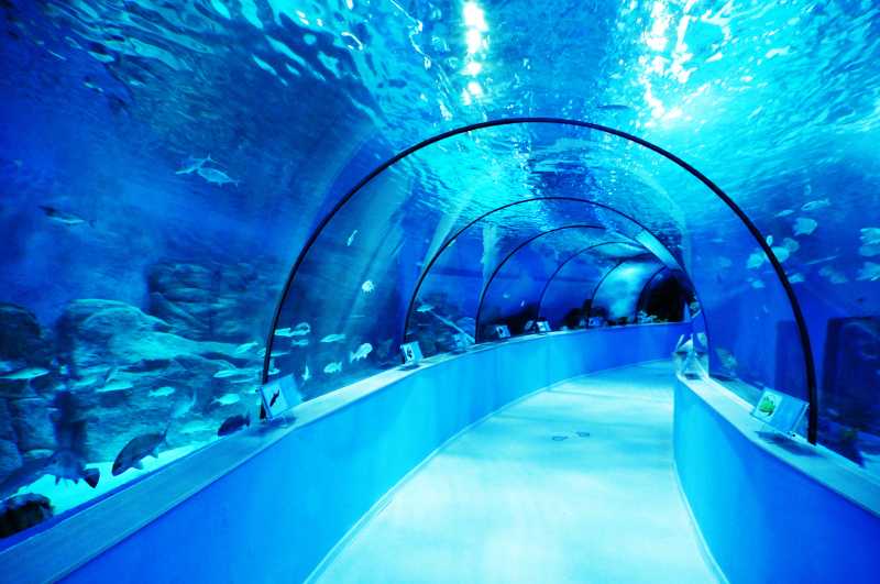 Suzhou_Ocean_Aquarium1.jpg