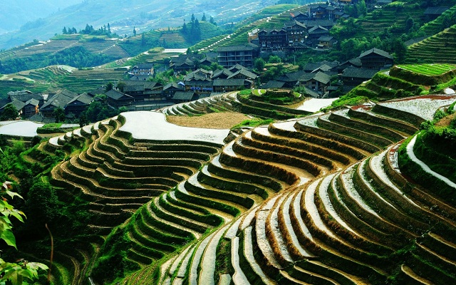 14_days_scenic_china_tour_with_rice_terrace9