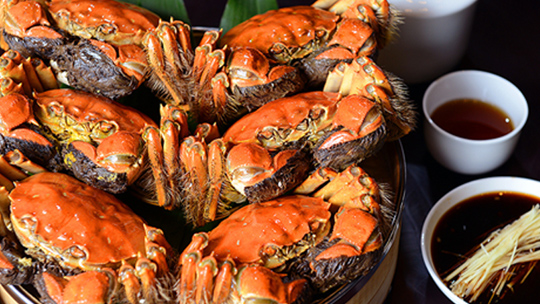 Hairy-Crab-in-Suzhou