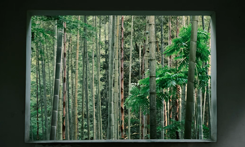 Yunqi-Bamboo-Grove-Hangzhou