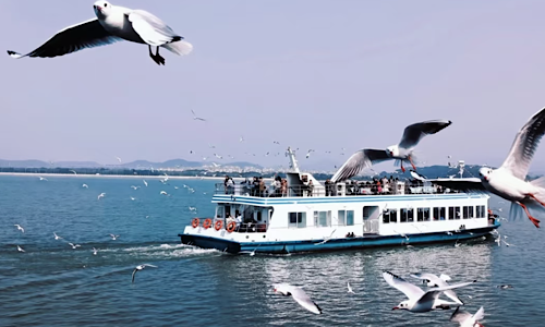 Tai-Lake-Boat