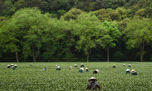 Meijiawu-Tea-Village