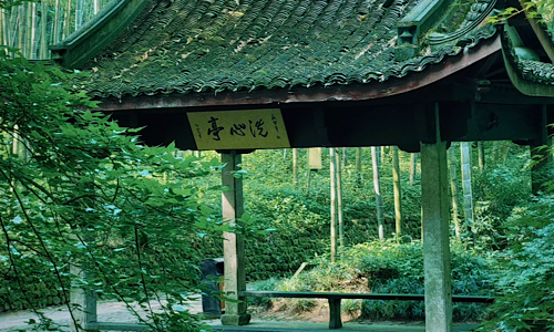 Yunqi-Bamboo-Grove