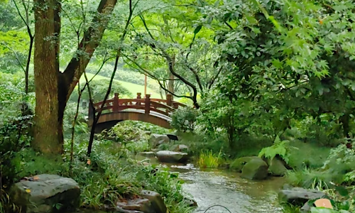 China-National-Tea-Museum-Hangzhou