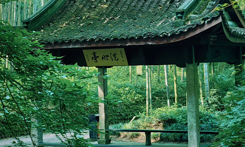 Yunqi-Bamboo-Grove Yunqi-Bamboo-Grove