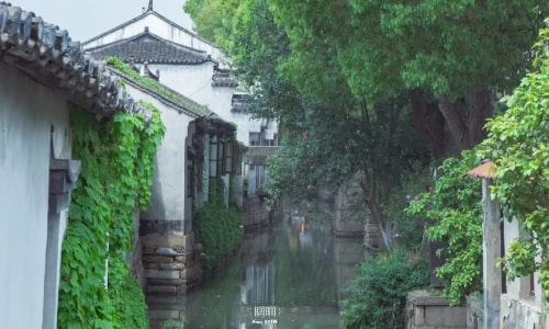 Luzhi-water--suzhou Luzhi-water--suzhou