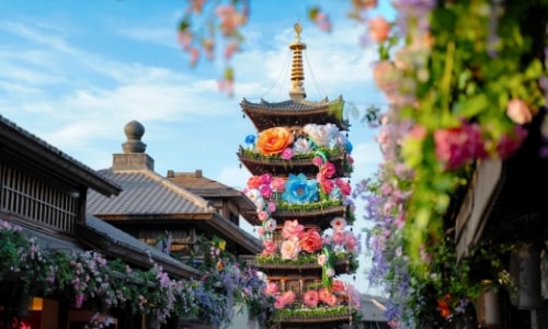 Nianhuawan Nianhuawan