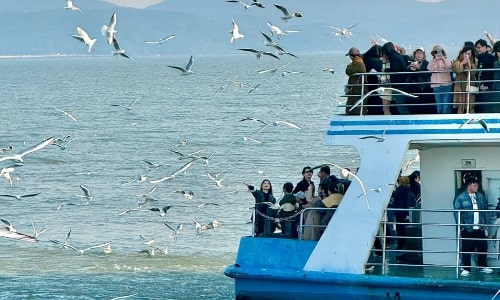 boat-cruise boat-cruise