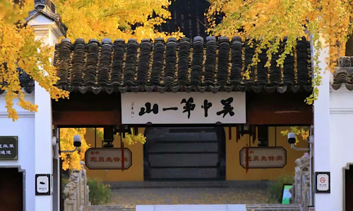 Tiger-Hill Tiger-Hill