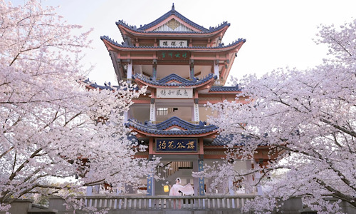 Wuxi-Yuantouzhu Wuxi-Yuantouzhu