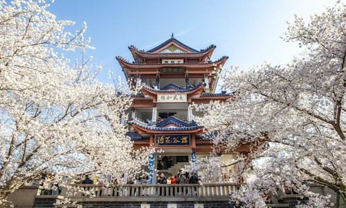 Yuantouzhu-Wuxi Yuantouzhu-Wuxi