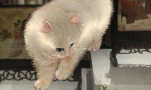 suzhou-embroidery suzhou-embroidery