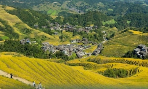Longji-Rice-Terraces-suzhou Longji-Rice-Terraces-suzhou