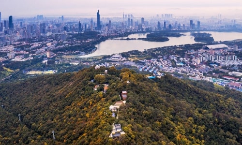 purple-mountain purple-mountain