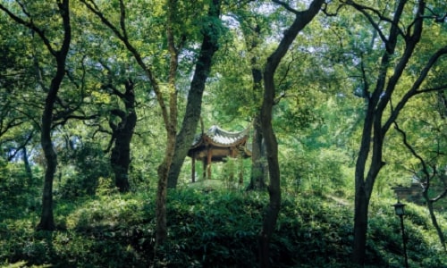 tiger-hill-suzhouhiking tiger-hill-suzhouhiking