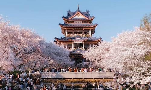 Yuantouzhu Yuantouzhu