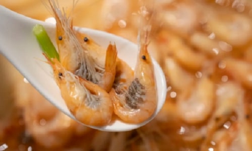 shrimp shrimp