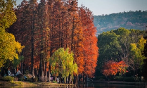 autumn autumn