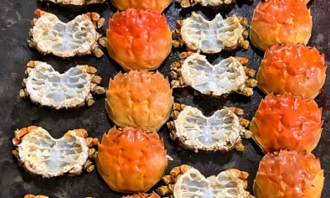 preparation preparation