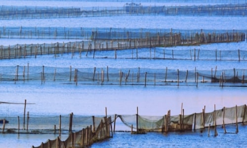 yangcheng-lake-suzhou yangcheng-lake-suzhou