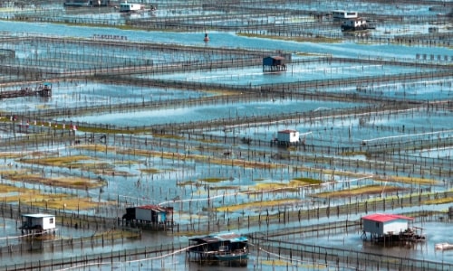yangcheng-lake yangcheng-lake