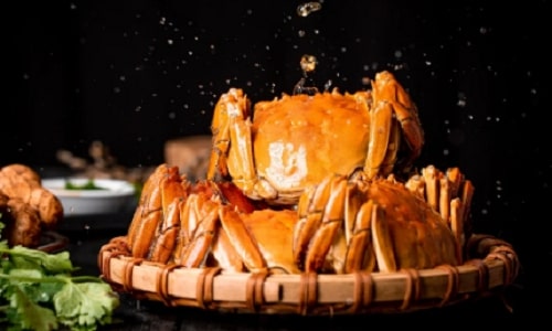 yellow-wine yellow-wine