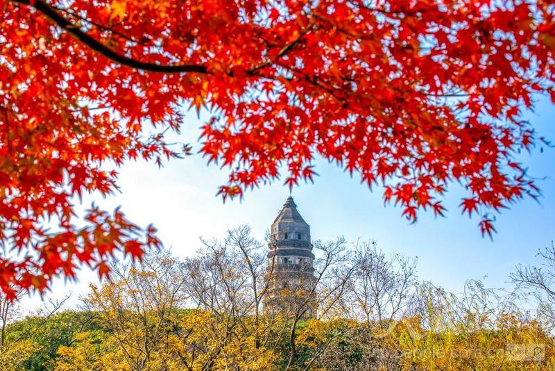 suzhou-autumn2 suzhou-autumn2