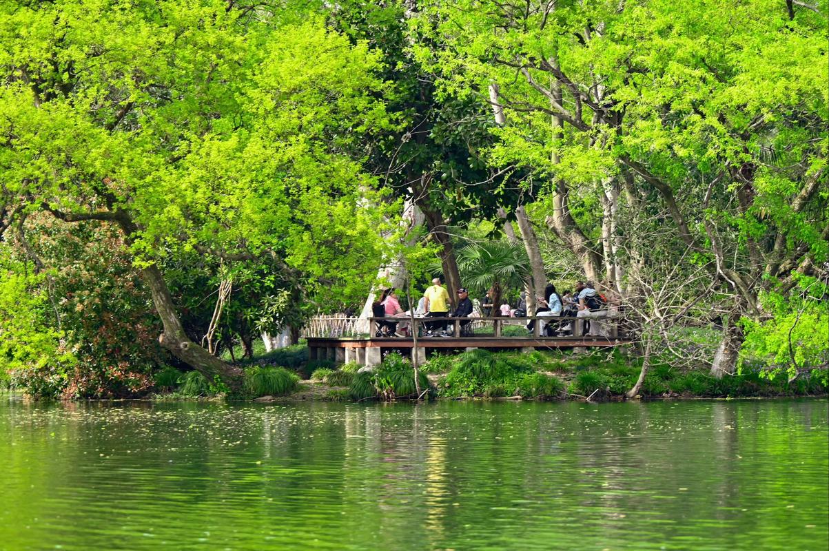 Greening-hangzhou Greening-hangzhou